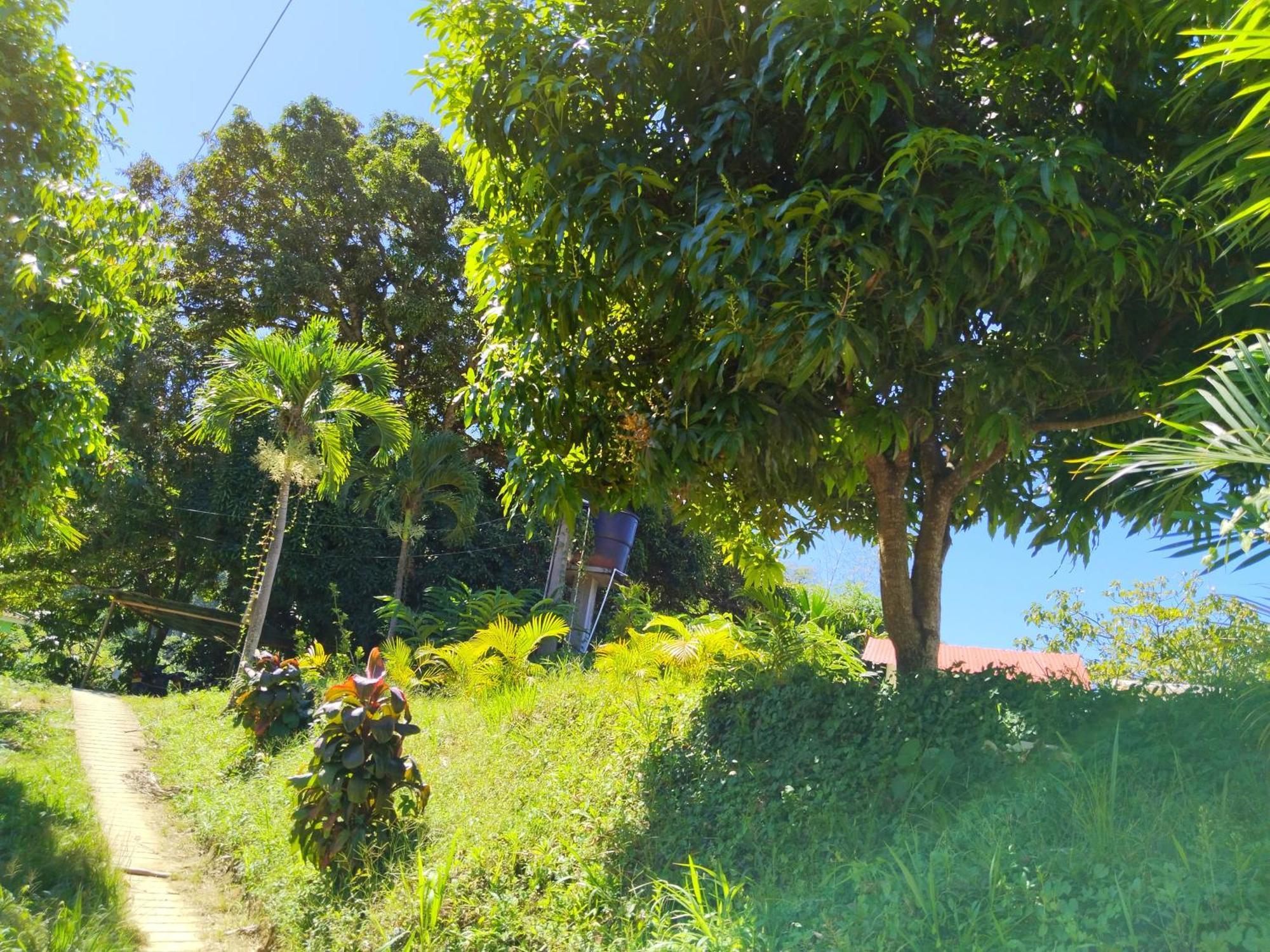 Casa Magica Villa Minca Dış mekan fotoğraf